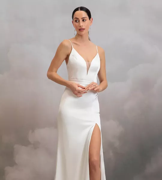 Catherine Deane Lipsy gown
